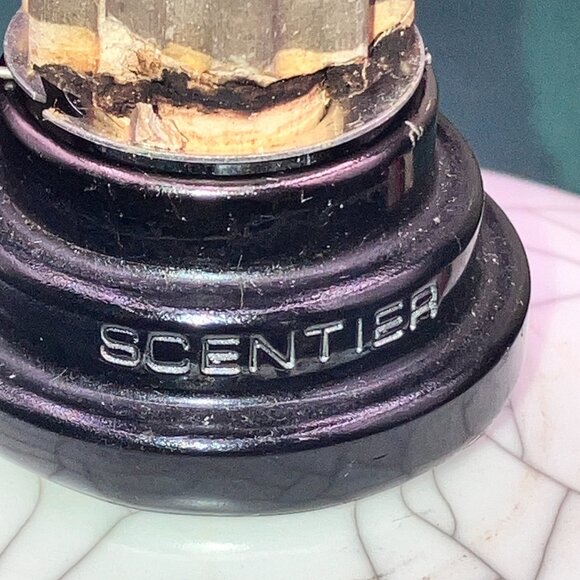 Set of 2 Large Catalytic Fragrance Defusers- 1 is Scentier Aromatherapy - Picture 5 of 12